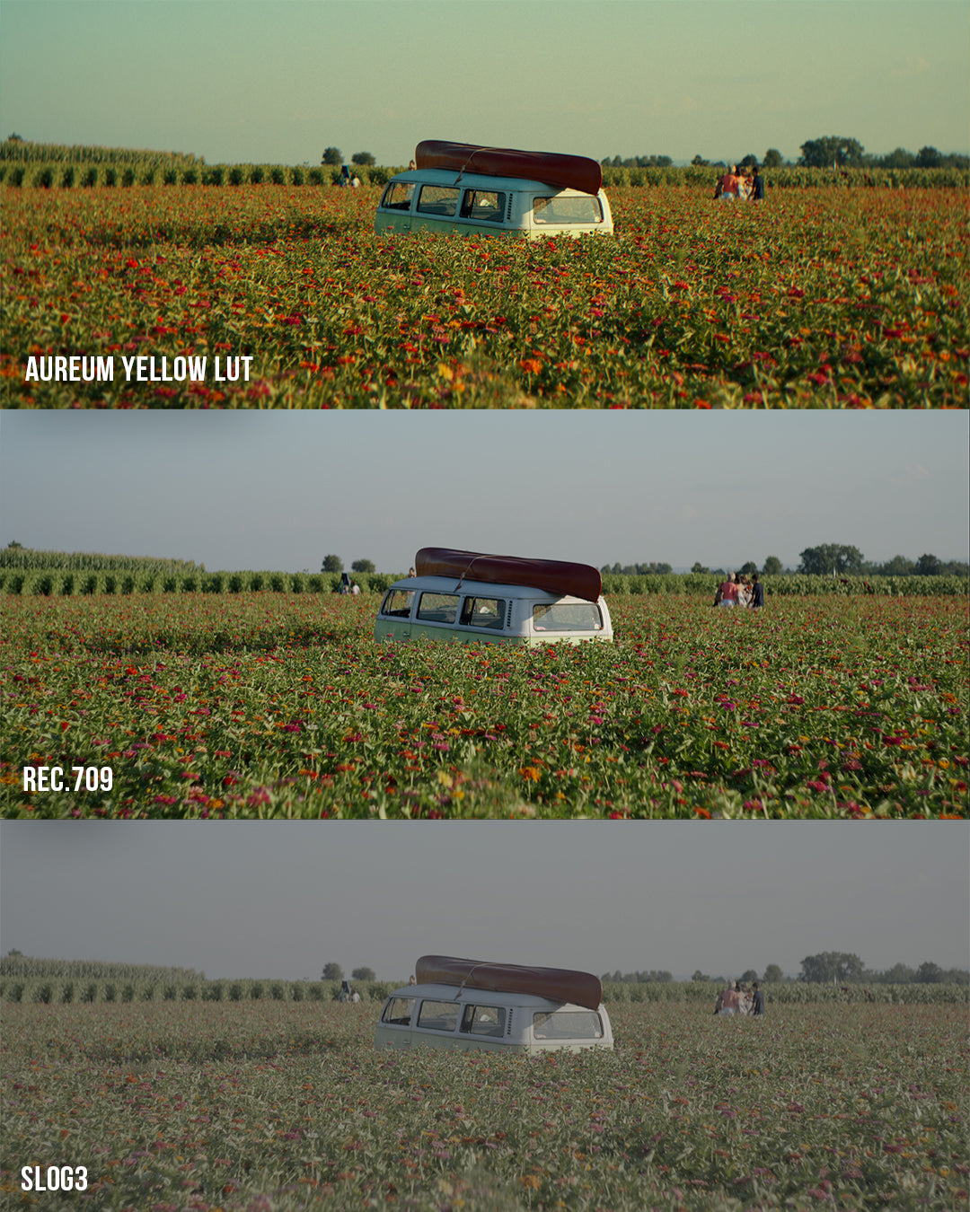 Sunset Film LUT Collection