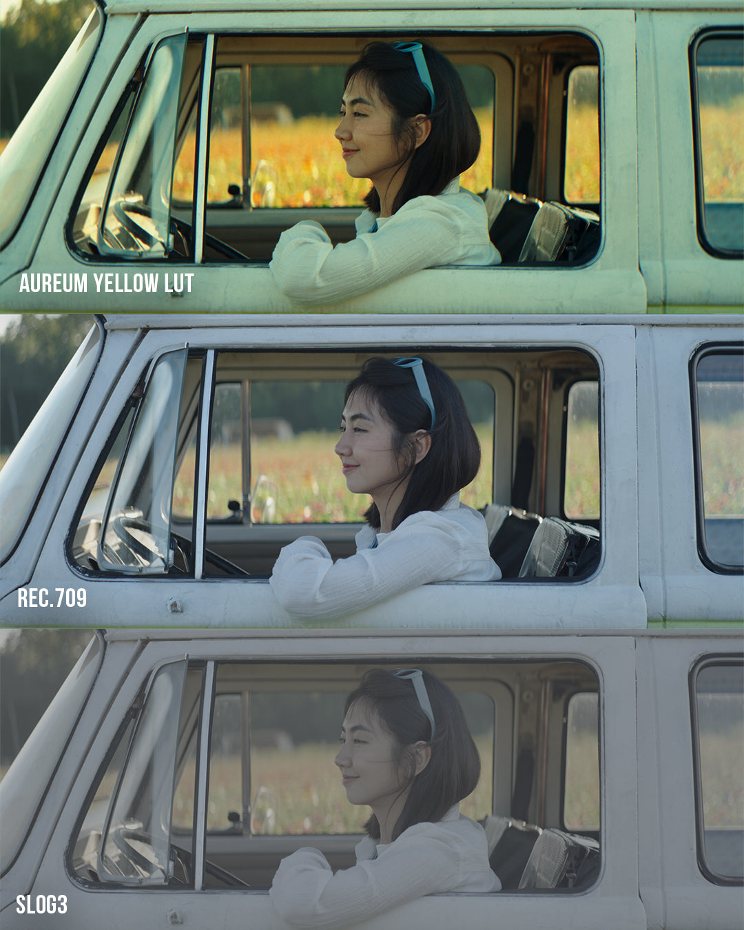 Sunset Film LUT Collection