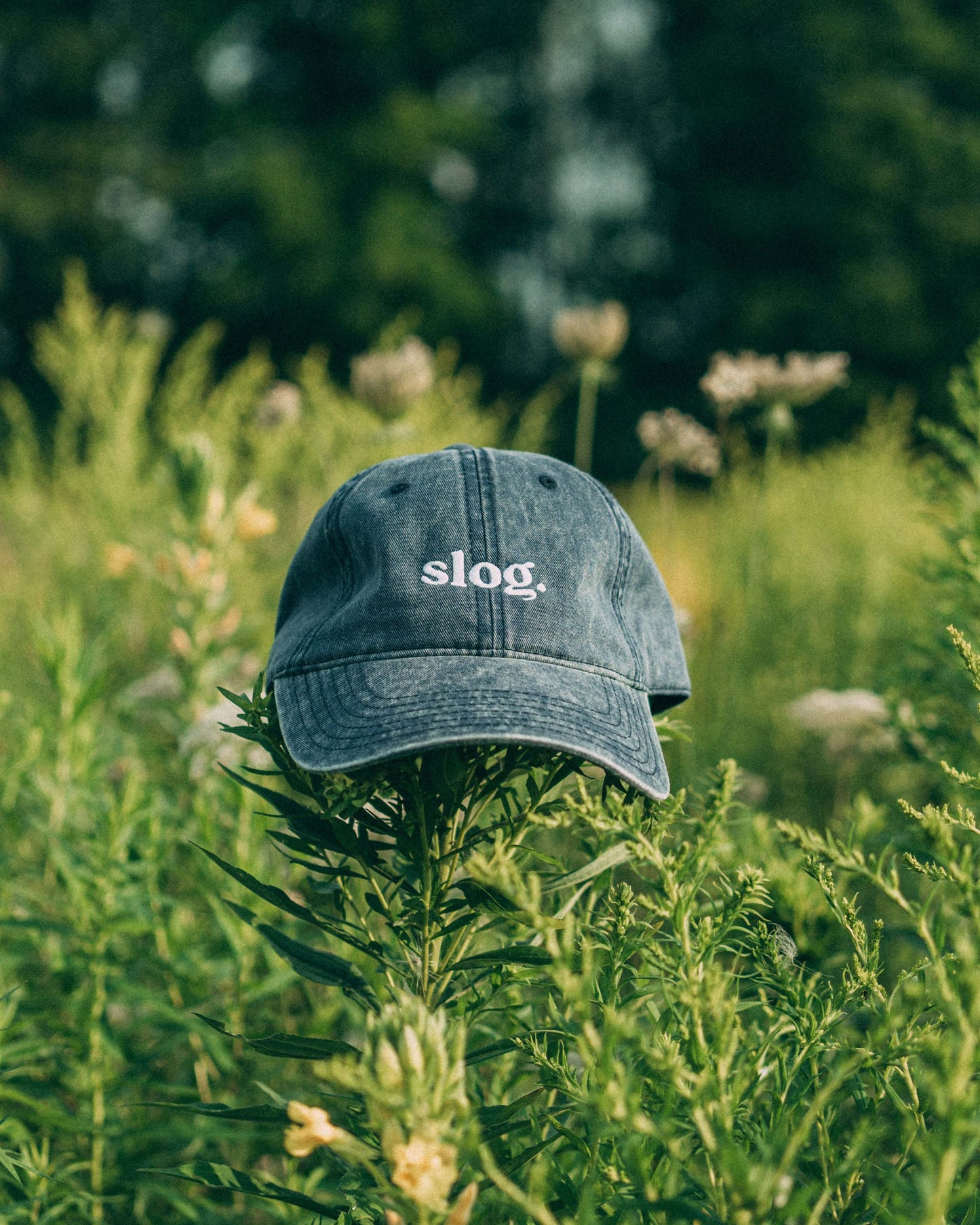 slog vintage hat