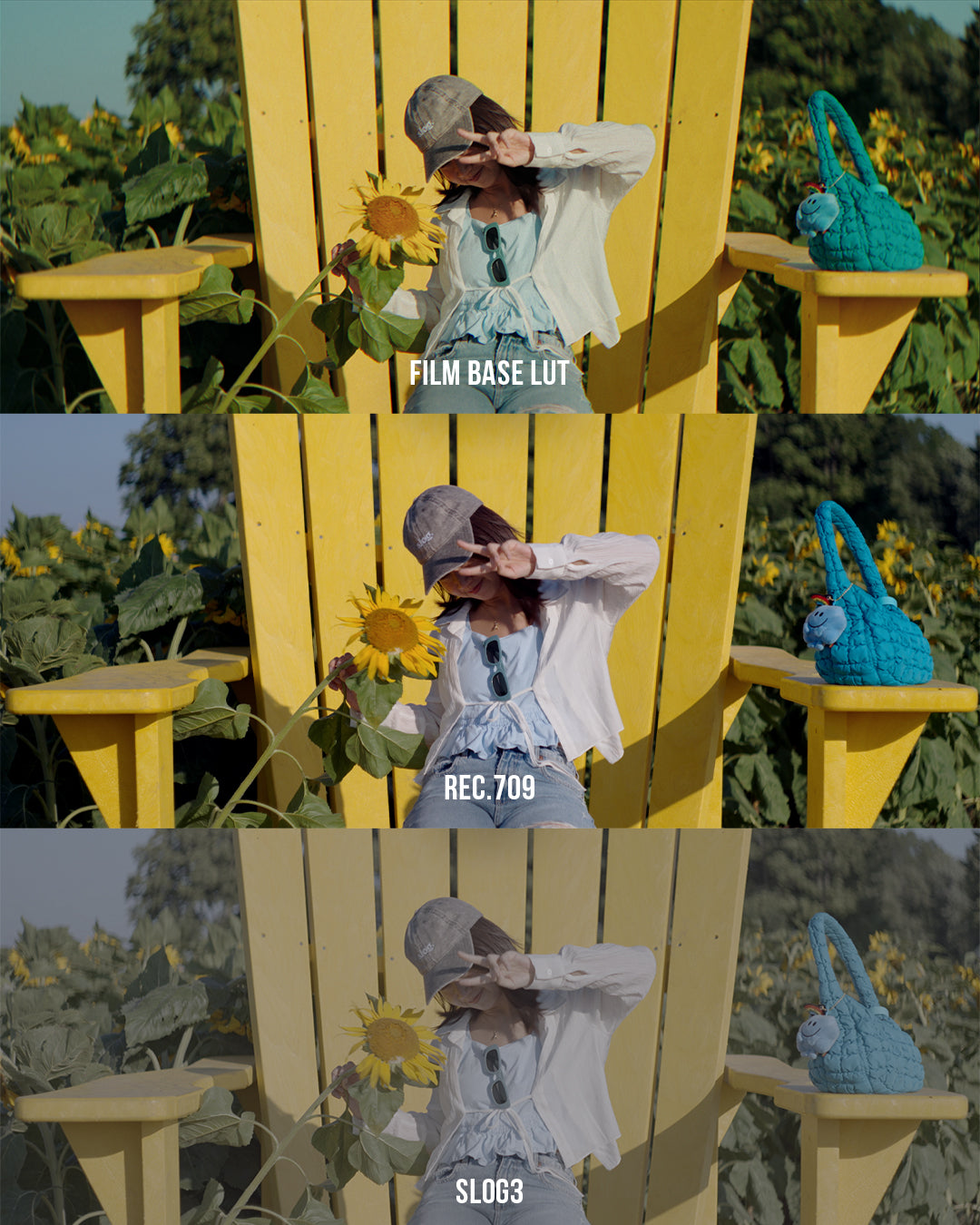 Sunset Film LUT Collection