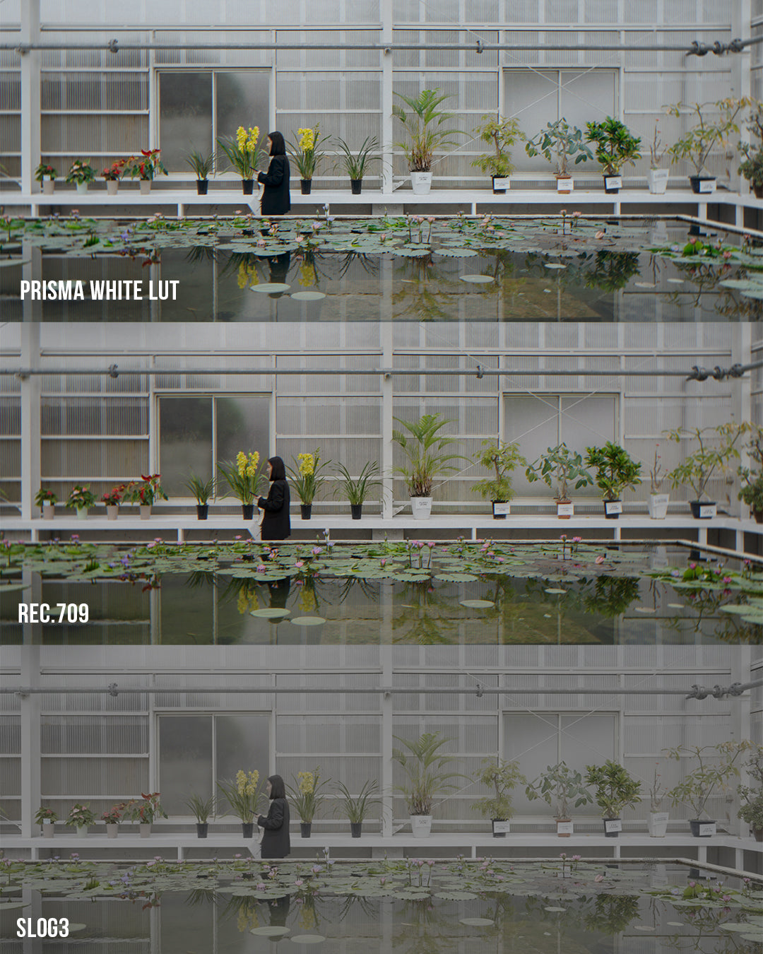 Sunset Film LUT Collection