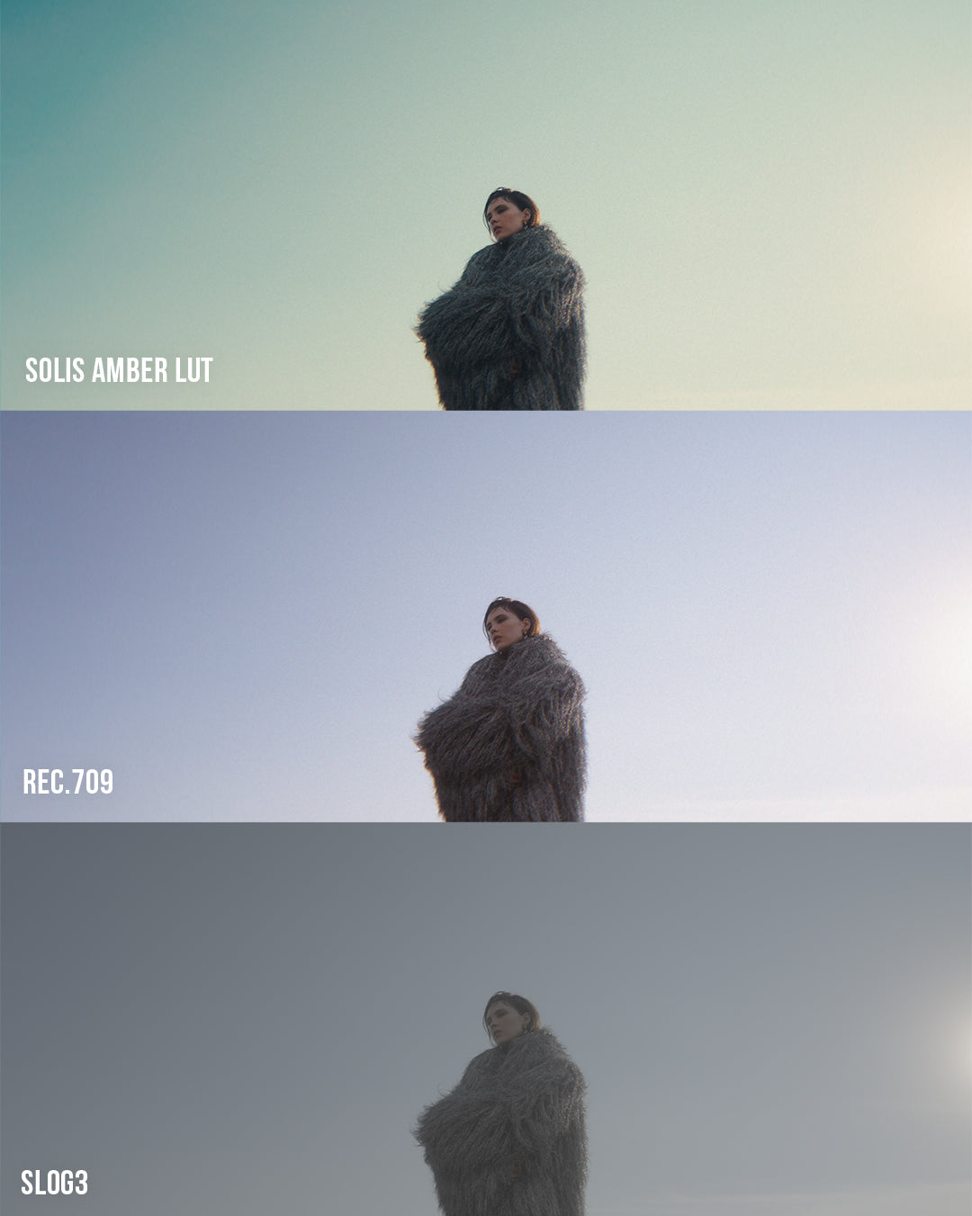 Sunset Film LUT Collection