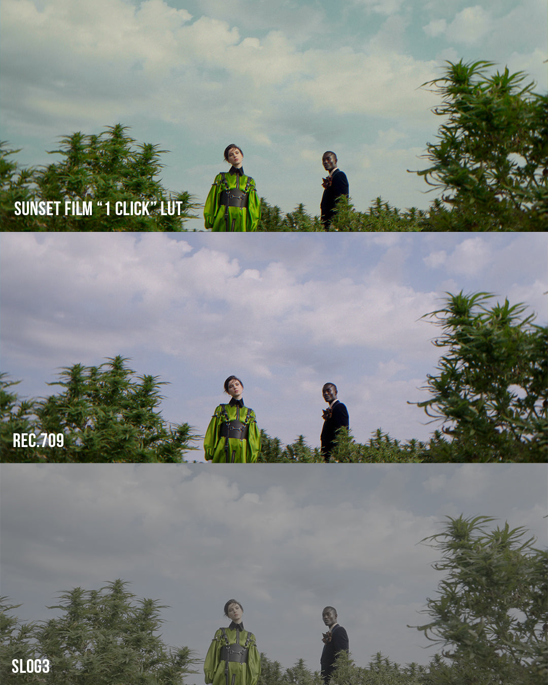 Sunset Film LUT Collection