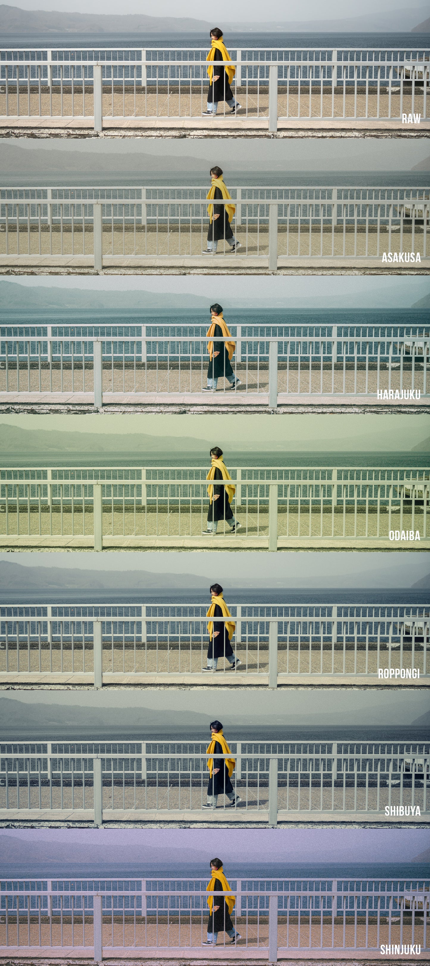 Tokyo Dream Preset Collection