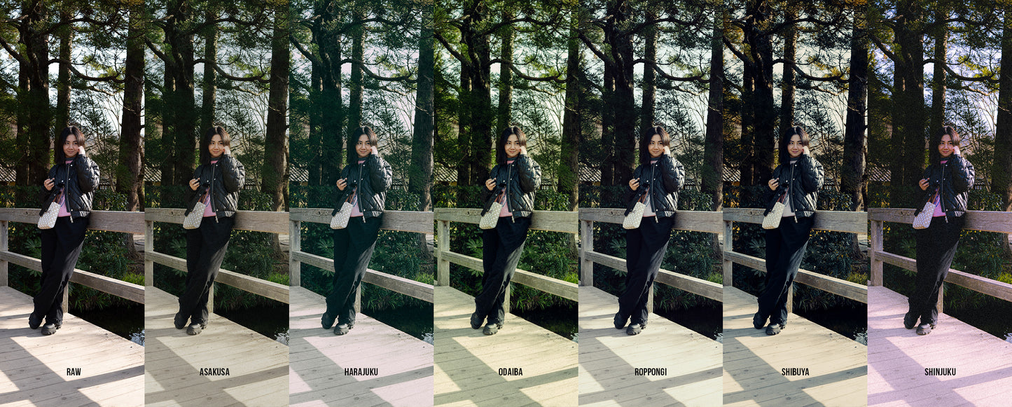 Tokyo Dream Preset Collection